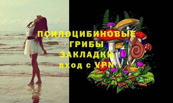 таблы Горняк