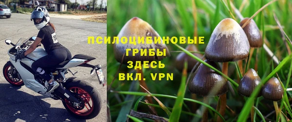 таблы Горняк